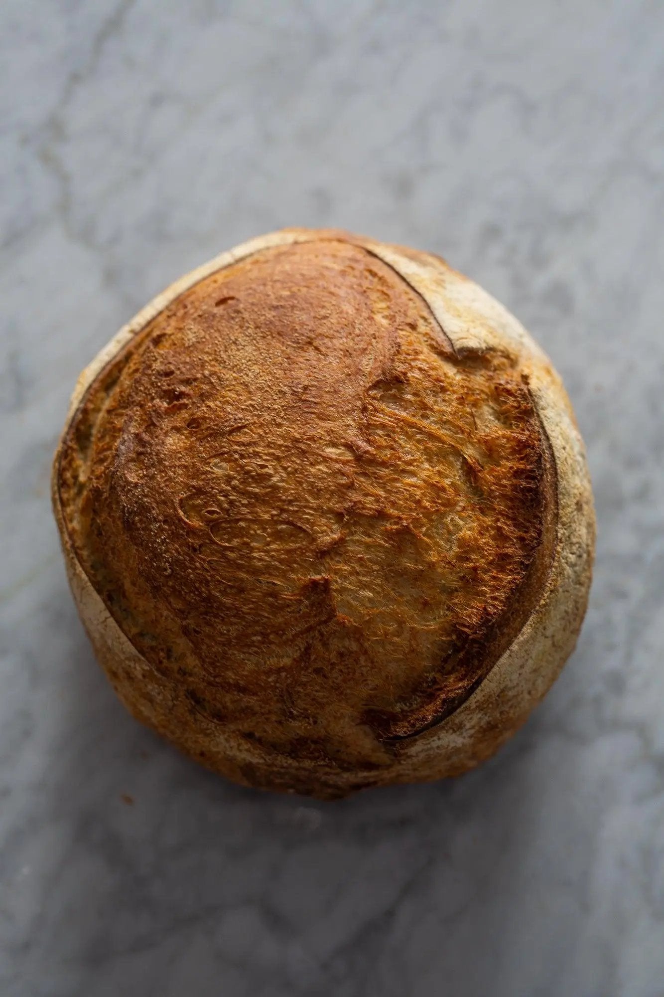 Corso Panificatore Congusto