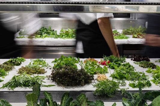 Cucina e sostenibilità: gli chef ripartono dall'orto