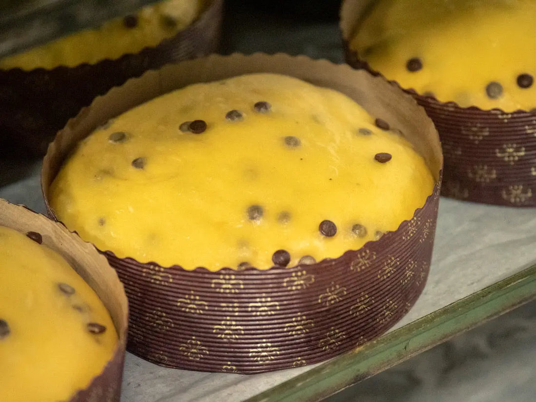 Panettone e Chef: Tradizione, Innovazione e Formazione per il Futuro - Congusto Institute